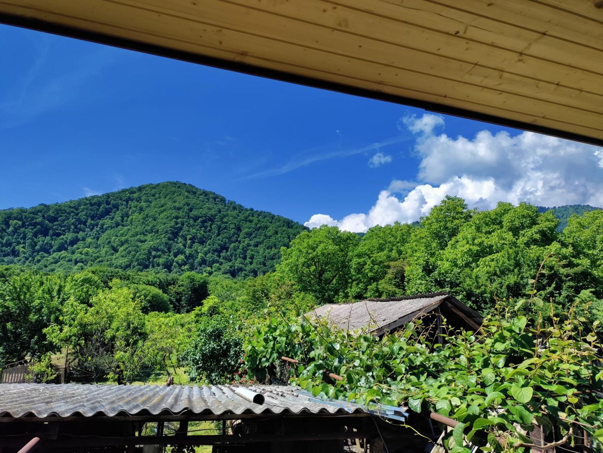 Jibghashvilebi'S House Lagodehi Dış mekan fotoğraf